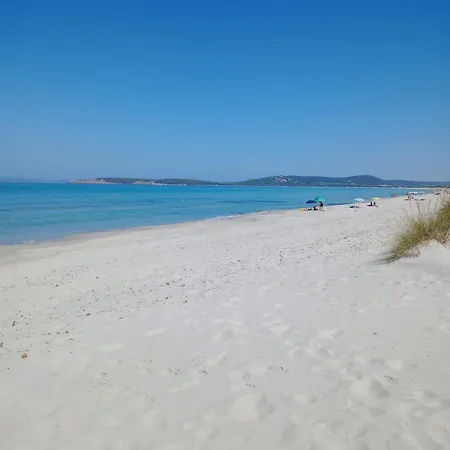 Da Zio Renzo Porto Pino